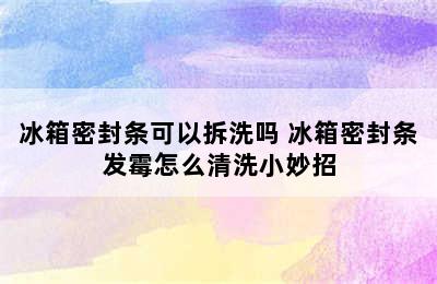 冰箱密封条可以拆洗吗 冰箱密封条发霉怎么清洗小妙招